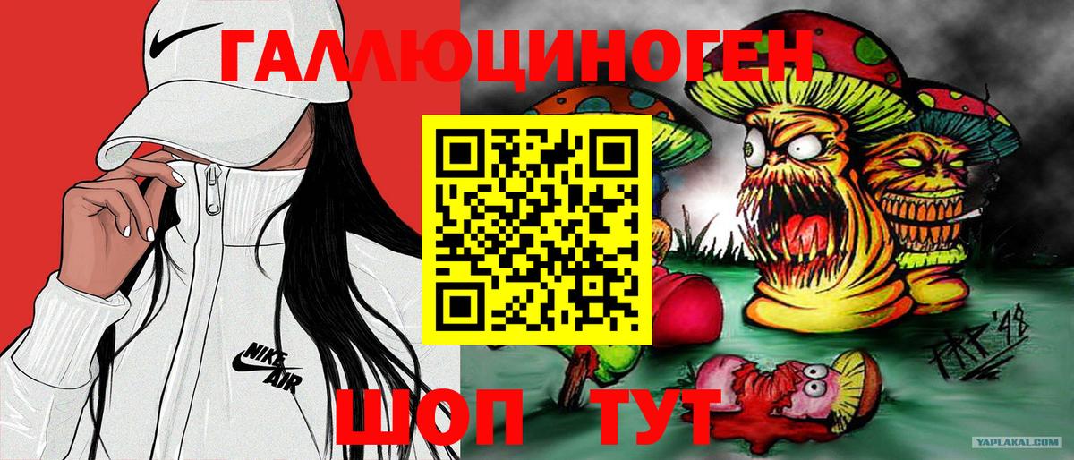 Боровичи  Псилоцибиновые грибы GOLDEN TEACHER  Вход с VPN 